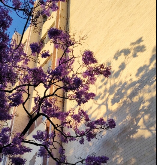 image2.jpeg